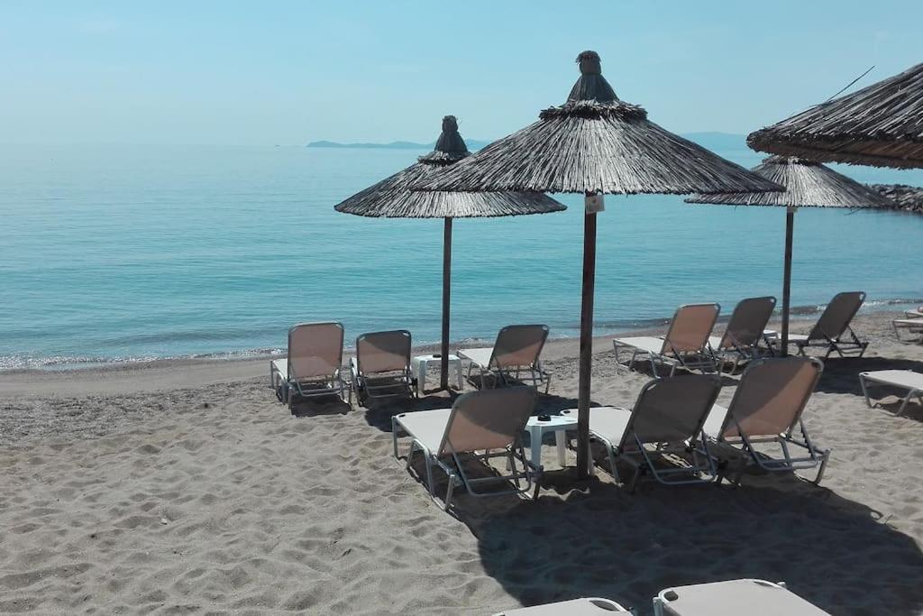 Cosy House Stratoni Chalkidiki 300M From Beach Zewnętrze zdjęcie